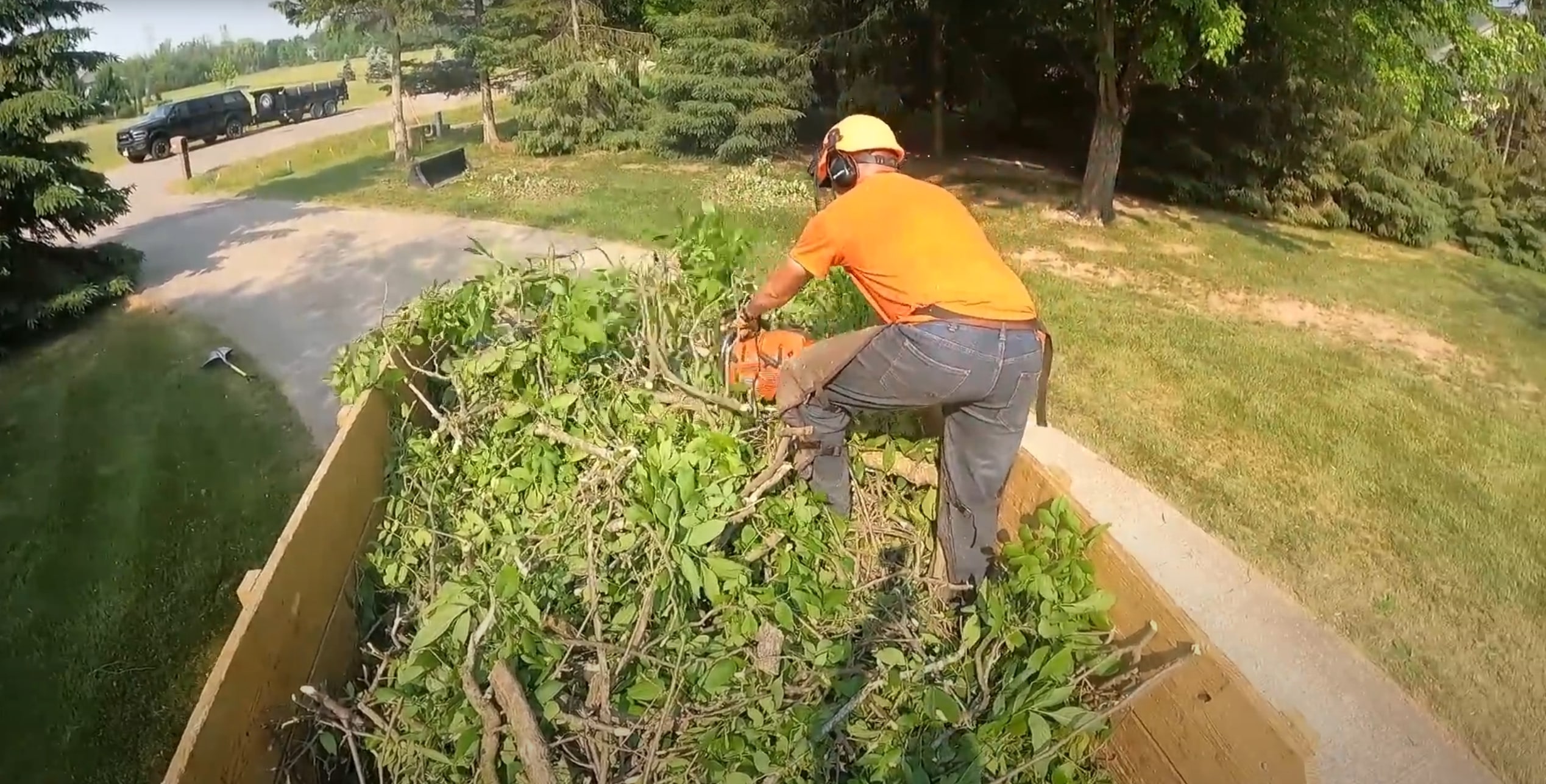 Tree trimming and pruning services in Palm Springs, CA